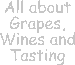 All about Grapes, Wines and Tasting